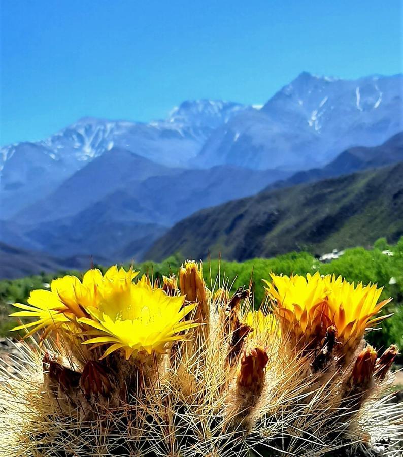 Arribadelvalle - Casas De Altura Potrerillos Exteriér fotografie