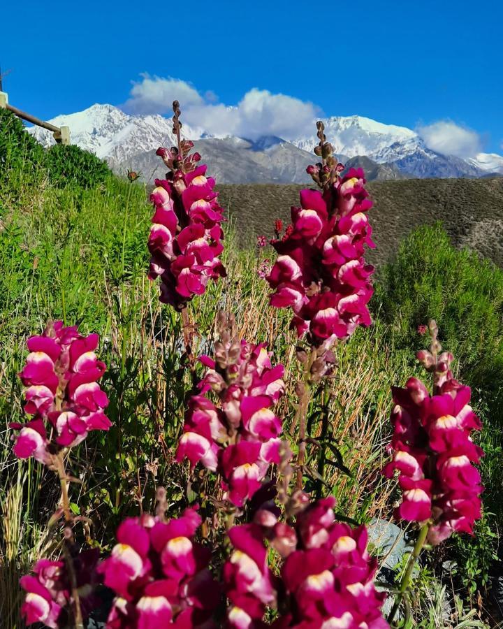 Arribadelvalle - Casas De Altura Potrerillos Exteriér fotografie